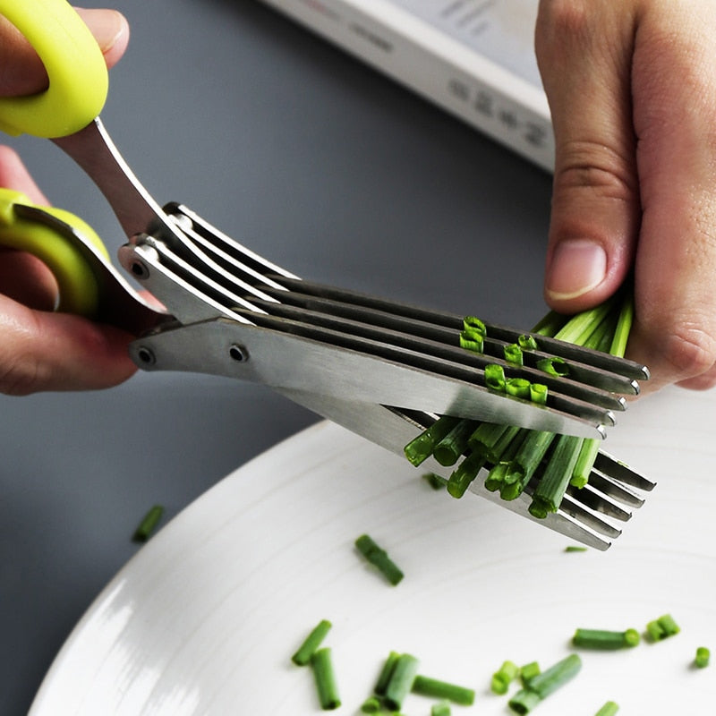 Herb Onion Scissor